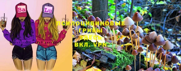 трава Баксан
